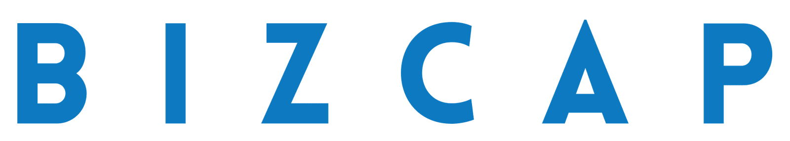 Bizcap